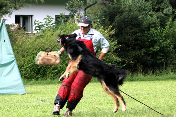 ein bisschen ärgern